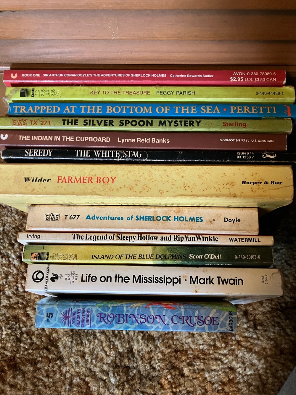 Stacked Classic Paperback Book Set - Multicolor Accent
